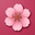 Selin